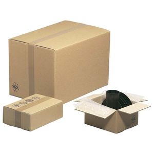 CAJA CARTON DOBLE CANAL 20X30X15 CM