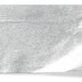 PAPEL SEDA PLATA 50X70 25UD 