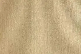 Cartulina Sadipal 50X70 Liso/Rugoso Crema