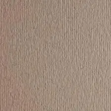 Cartulina Sadipal Liso/Rugoso 50X70 China