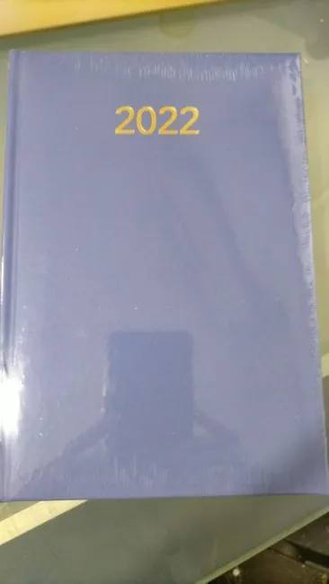 Agenda 22 D/P Florencia Azul