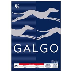 PAPEL GALGO A4 VERJURADO CREMA 100GR. 100H.