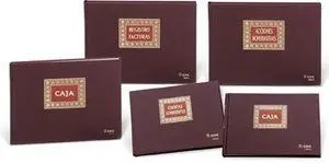 Libro Caja 4 100H 4079