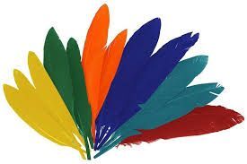 PLUMAS INDIO 300X200 36U.