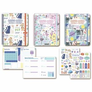 AGENDA ESCOLAR 8º S/V 24-25 CARTON COLORES