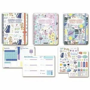 Agenda Escolar 8º S/V 24-25 Carton Colores