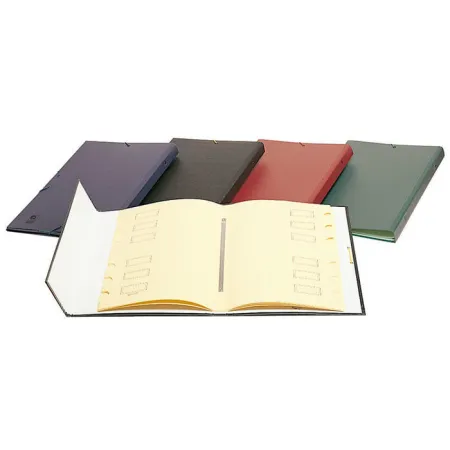 Clasificador Carton Forrado Gomas Solapa Colores Surtidos