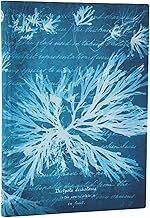 LIBRETA ANNA ATKINS CYANOTYPES SEA FLOWERS MIDI