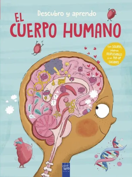 El Cuerpo Humano