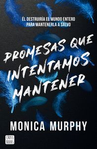 PROMESAS QUE INTENTAMOS MANTENER