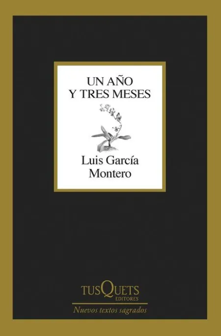 Un Año y Tres Meses