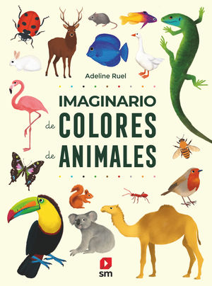 IMAGINARIO DE COLORES DE ANIMALES