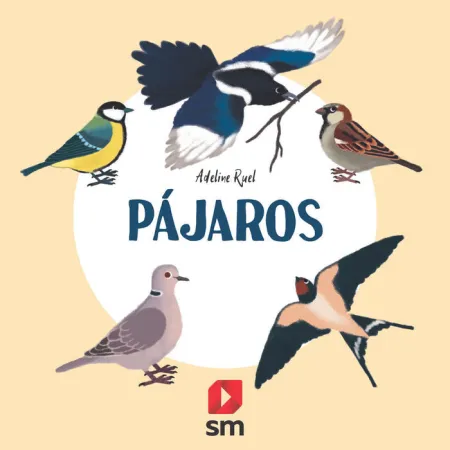 Naturaleza Pajaros