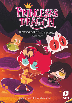 PRINCESAS DRAGON 13 EN BUSCA DEL ARMA SECRETA