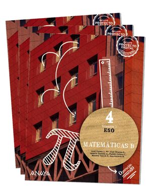 4ESO MATEMÁTICAS B (25)