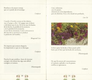 BELLOS PENSAMIENTOS T0007