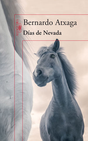 DIAS DE NEVADA BERNARDO ATXAGA