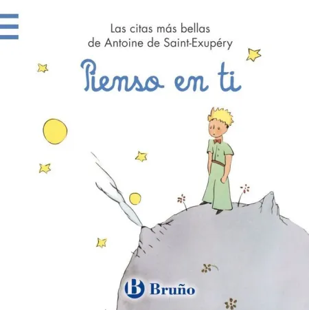 Pienso en Ti Principito