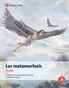 Metamorfosis Ovidio