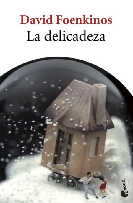 La Delicadeza David Foenkinos