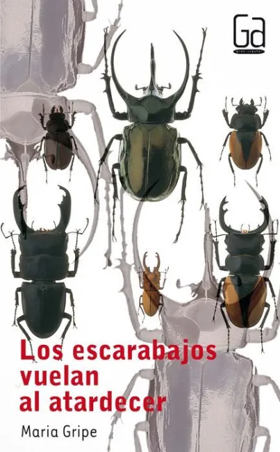 Los Escarabajos Vuelan 31 Gran Angular