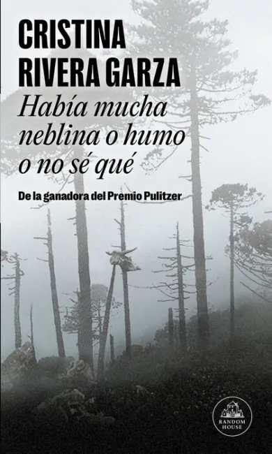 Habia Mucha Neblina o Humo o no se que Cristina R