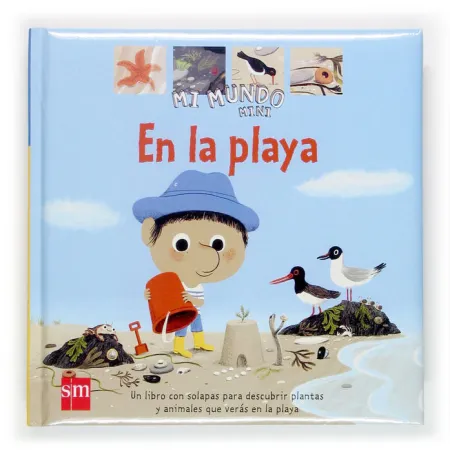 Mmm. 10 en la Playa