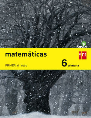 MATEMÁTICAS. 6 PRIMARIA. SAVIA