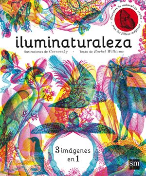 ILUMINATURALEZA SM
