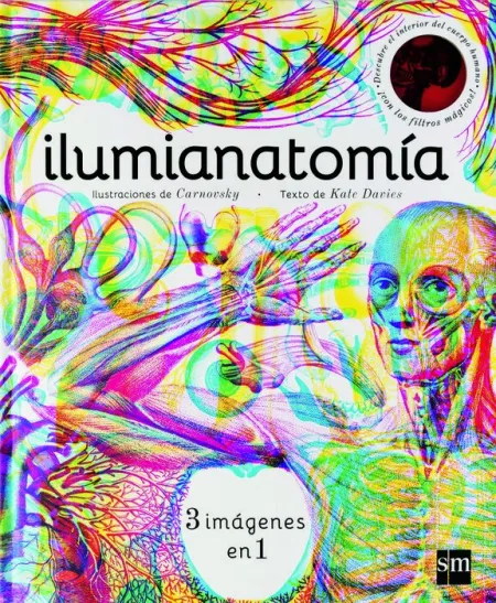 Ilumianatomia 3 Imagenes en 1