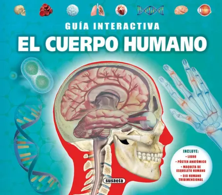 El Cuerpo Humano