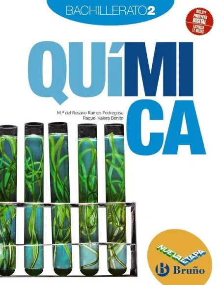 2Bch Quimica Nueva Etapa Bruño (26)