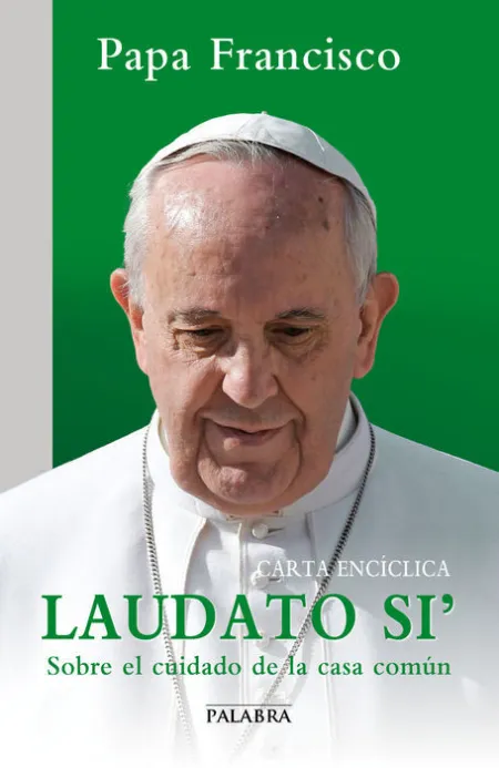 Carta Enciclica Laudato si S. s. francisco