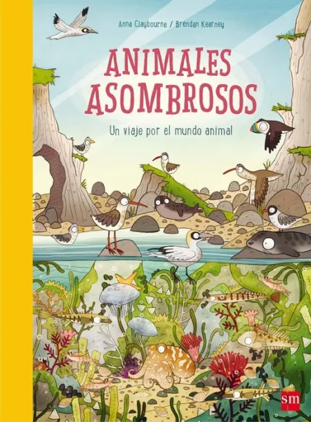 Animales Asombrosos Anna Claybourne