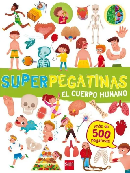 Superpegatinas Piratas/Dinosaurios/Cuerpo Humano