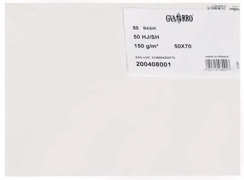 Lamina Guarro-Canson Dibujo Basik 150G 50X70 cm