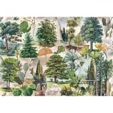 Papel Decopauge 70X100 Life Of Trees Hojas de Papel