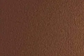 Cartulina Sadipal Liso/Rugoso 50X70 Marron
