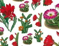 Papel Decopauge 50X70Cm 85Gr Plantas Tropicales