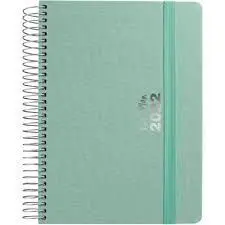 Agenda 22 D/P 15X21 Fancy Mint