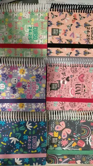 Agenda Escolar A6 24/25 D/P Surtida