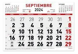 Calendario 2024 Mensual 30X21Cm 32H Numeros Grandes