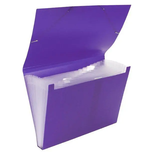 Clasificador Plus Pp Goma 12D. A4 Opaco Violeta