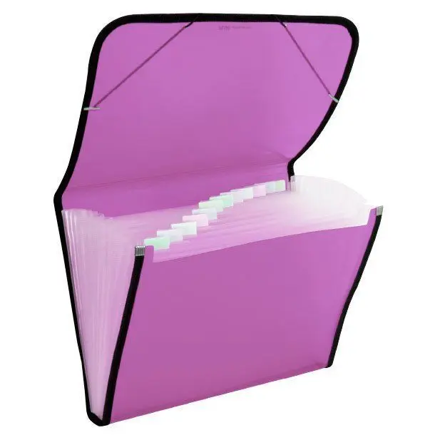 Clasificador Plus Pp Goma 12D. traslucido Fucsia