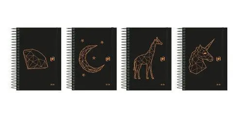 Agenda Oxford Dp 12X18 23-24