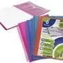 Carpeta A4 30 Fundas Espiral/Gomas Neon Surtidas Bismark