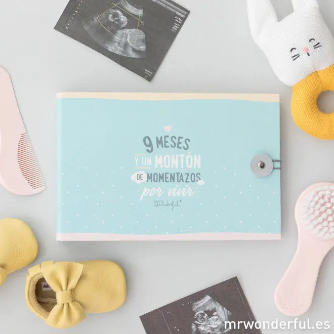Album 9 Meses y un Monton de Momentos por Vivir Mr. wonderful