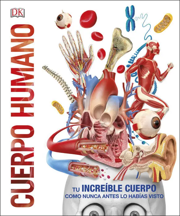 Cuerpo Humano (Mundo 3D)