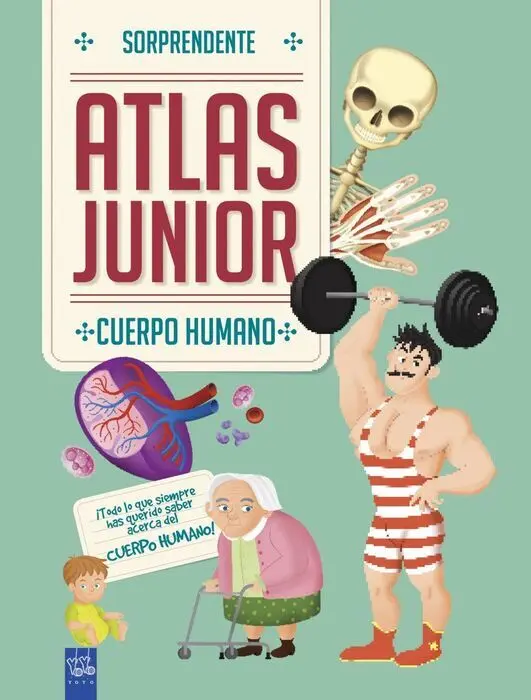 Cuerpo Humano