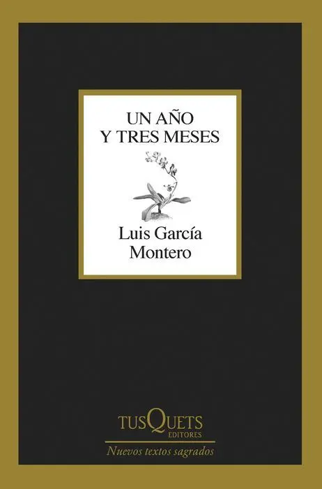 Un Año y Tres Meses